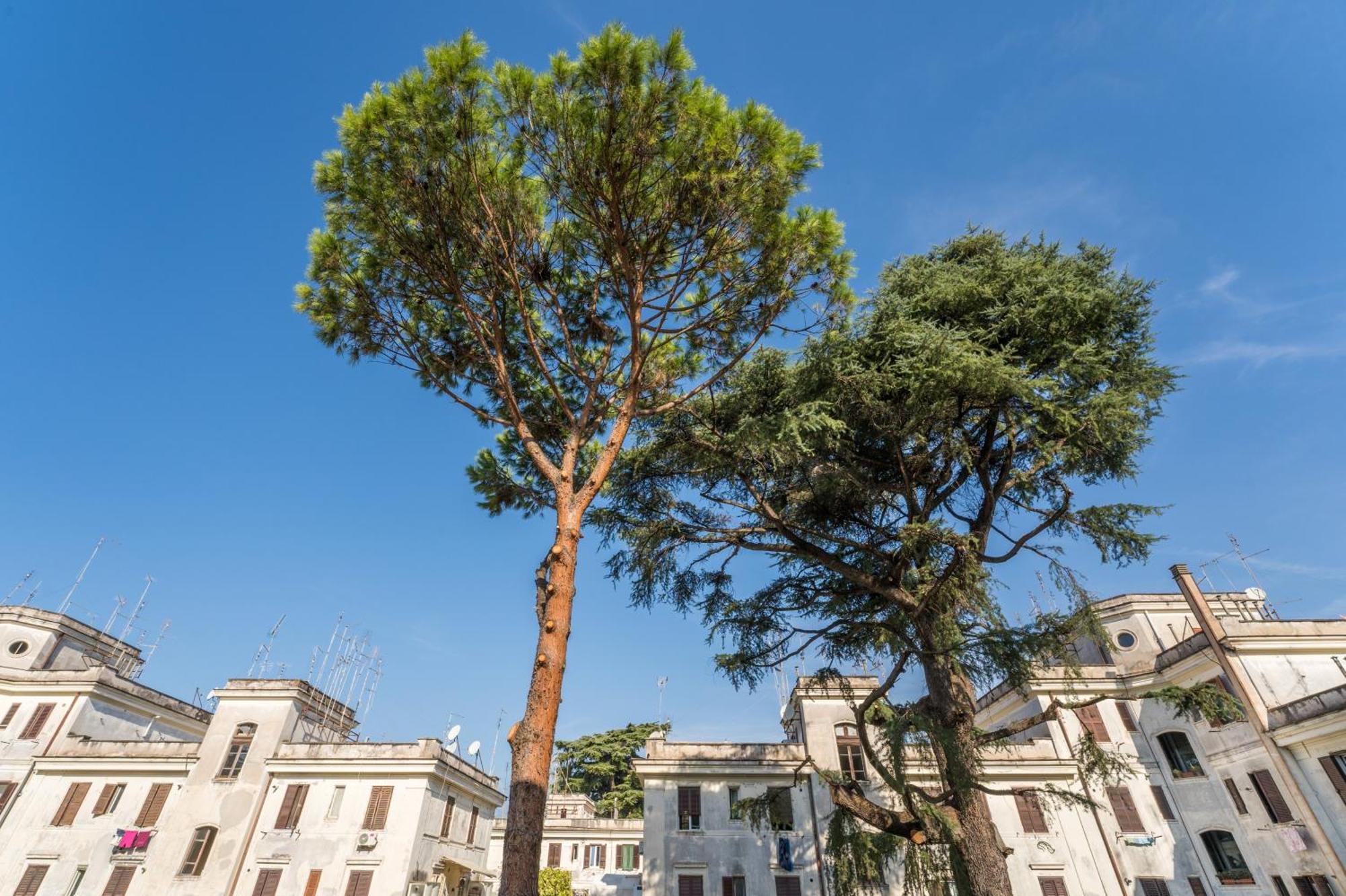 Fisher'S Apartment In Testaccio Рим Екстер'єр фото